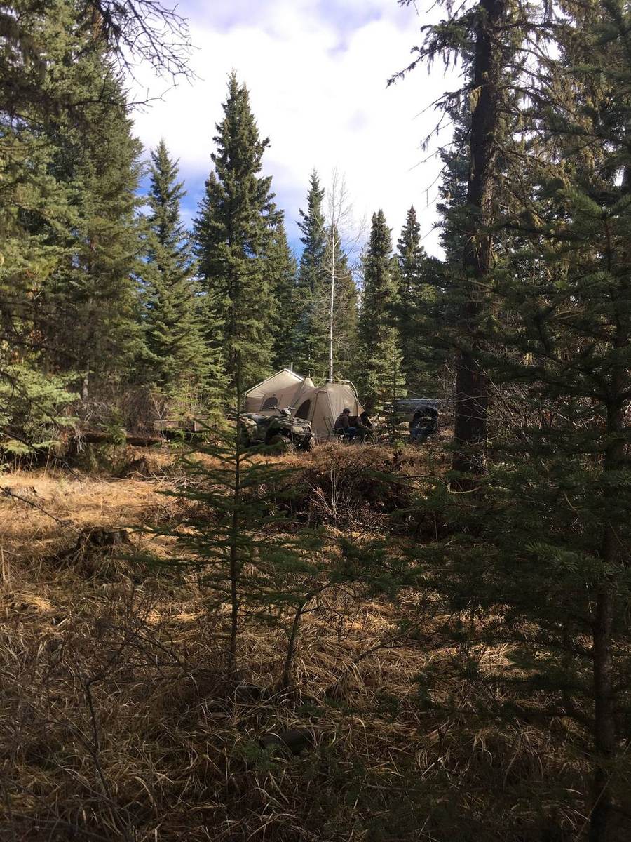 Alberta hunt moment 3