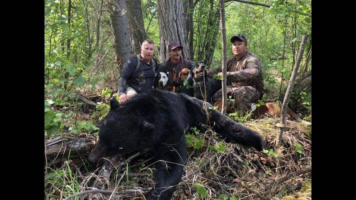 Alberta hunt moment 2