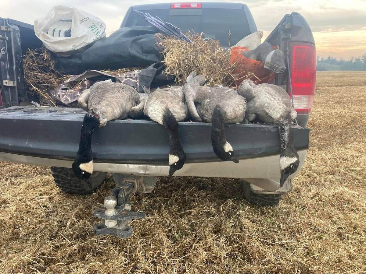 Alberta Waterfowl Hunts