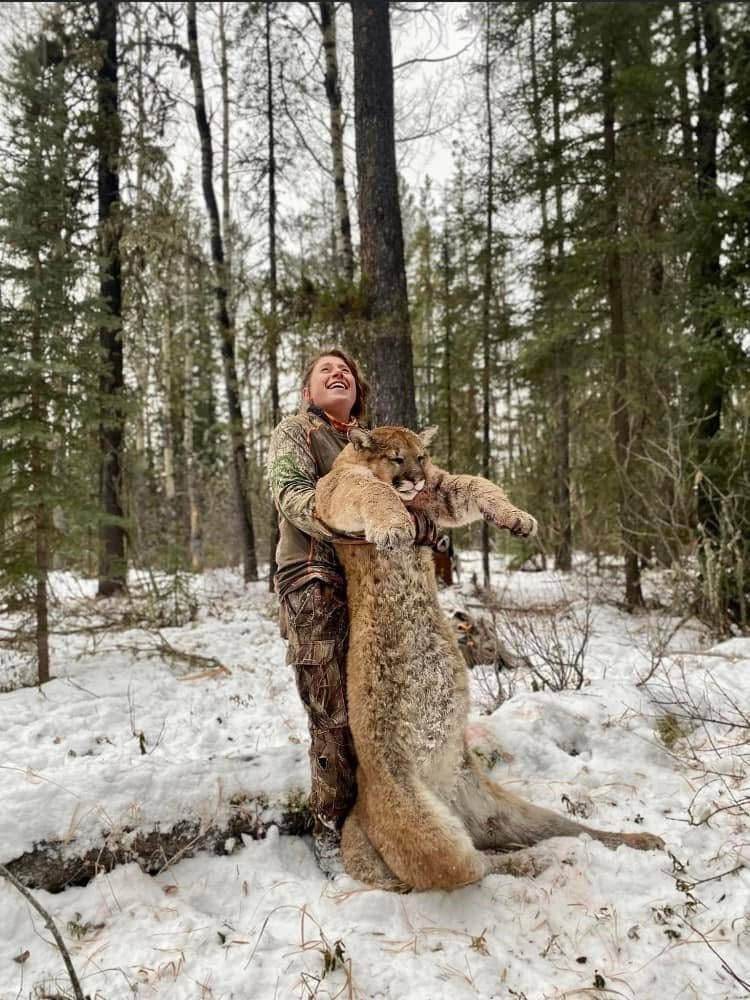 Alberta Resident Cougar Hunts